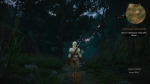 witcher3 2015-06-03 23-42-10-44