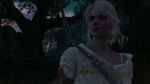 witcher3 2015-06-03 23-42-54-03