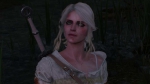 witcher3 2015-06-03 23-43-03-23