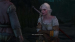 witcher3 2015-06-03 23-44-58-49