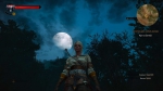 witcher3 2015-06-03 23-47-27-51
