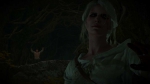 witcher3 2015-06-03 23-54-32-13