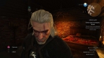 witcher3 2015-06-04 00-27-57-58
