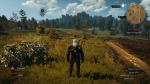 witcher3 2015-06-04 01-22-07-19
