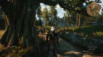 witcher3 2015-06-04 01-23-25-64