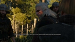 witcher3 2015-06-04 01-25-29-74