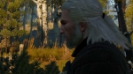 witcher3 2015-06-04 01-25-44-71