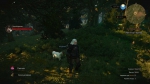 witcher3 2015-06-04 01-32-28-09