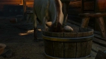 witcher3 2015-06-04 01-35-39-80