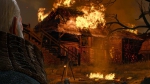 witcher3 2015-06-04 01-48-42-15