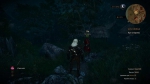 witcher3 2015-06-04 02-03-10-00