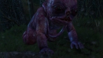 witcher3 2015-06-04 02-03-58-49