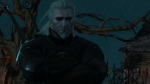 witcher3 2015-06-04 02-22-01-22