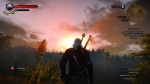 witcher3 2015-06-05 01-12-10-76