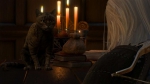 witcher3 2015-06-05 01-34-29-28