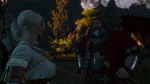 witcher3 2015-06-05 02-03-10-99