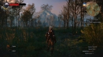 witcher3 2015-06-09 00-33-19-94