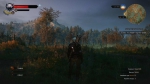 witcher3 2015-06-09 00-33-34-90