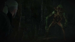 witcher3 2015-06-09 00-46-57-92