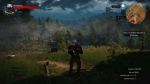 witcher3 2015-06-10 01-45-31-98
