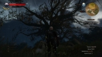 witcher3 2015-06-10 01-48-48-96