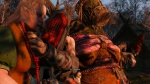 witcher3 2015-06-10 02-30-49-78