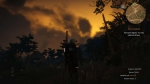 witcher3 2015-06-11 01-47-14-04