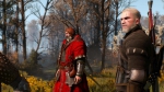 witcher3 2015-06-13 03-55-51-62