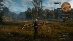 witcher3 2015-06-13 04-31-50-07