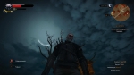 witcher3 2015-06-13 04-51-25-57