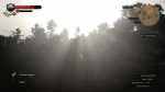 witcher3 2015-06-16 01-27-40-76