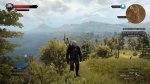 witcher3 2015-06-16 02-09-40-41