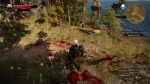 witcher3 2015-06-16 02-09-59-30
