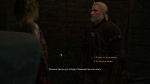 witcher3 2015-06-20 00-09-50-62