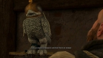 witcher3 2015-06-20 01-47-27-77