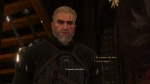 witcher3 2015-06-20 22-46-10-40