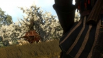 witcher3 2015-06-20 23-32-28-55