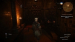 witcher3 2015-06-21 00-54-48-48