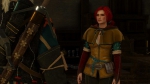 witcher3 2015-06-21 01-12-30-03