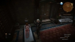 witcher3 2015-06-21 02-21-01-87
