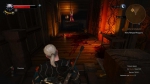 witcher3 2015-06-21 02-54-16-52