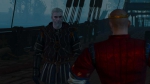 witcher3 2015-06-21 03-11-30-59