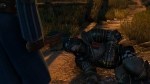 witcher3 2015-06-21 04-27-26-27