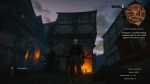 witcher3 2015-06-23 02-09-26-39