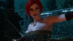 witcher3 2015-06-24 00-14-57-95