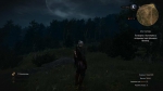 witcher3 2015-06-24 01-07-23-34