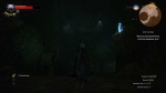 witcher3 2015-06-24 01-18-18-19