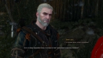 witcher3 2015-06-24 02-02-47-60