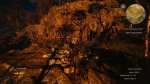 witcher3 2015-06-24 02-09-22-18