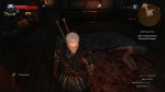 witcher3 2015-07-05 02-30-15-76